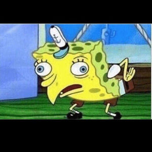 Meet your Posher, Bradley